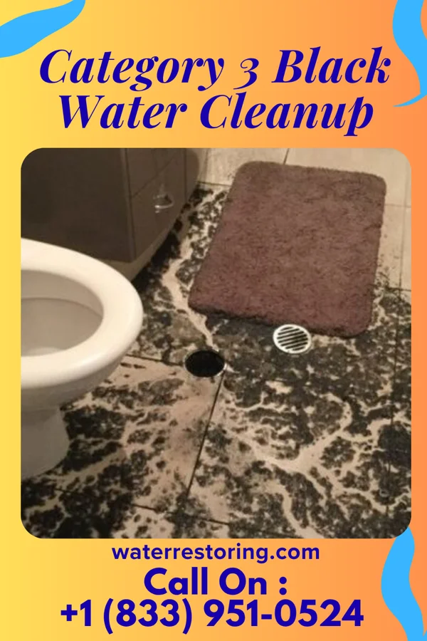 Category 3 Black Water Cleanup in Valley Falls, RI