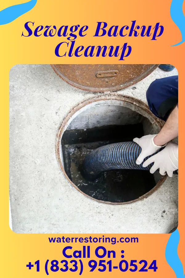 Sewage Backup Cleanup in Valley Falls, RI