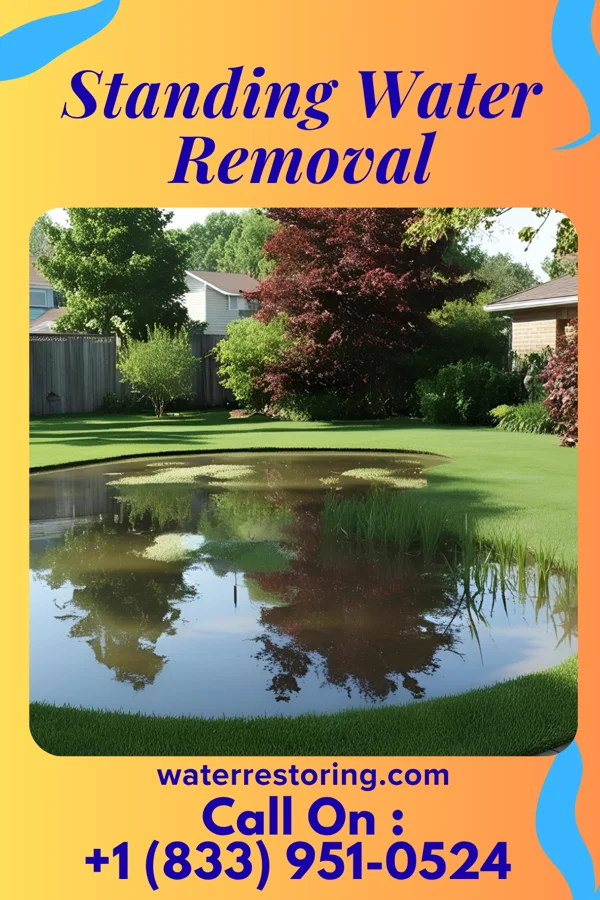 Standing Water Removal in Valley Falls, RI
